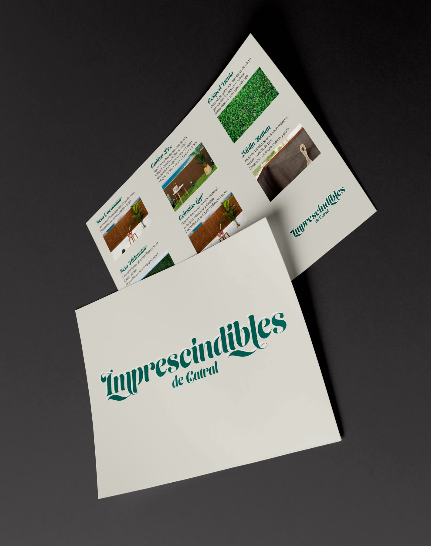 Folleto Imprescindibles de Catral